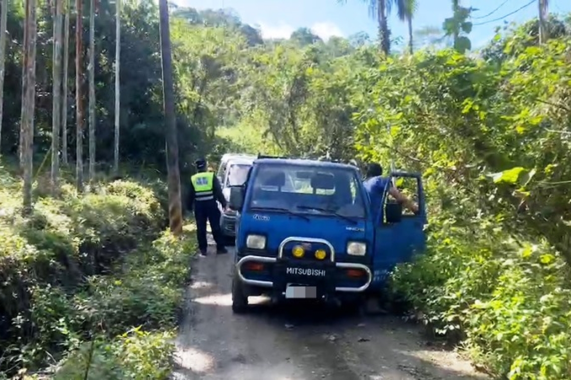 鳳林警方協助山區車禍民眾