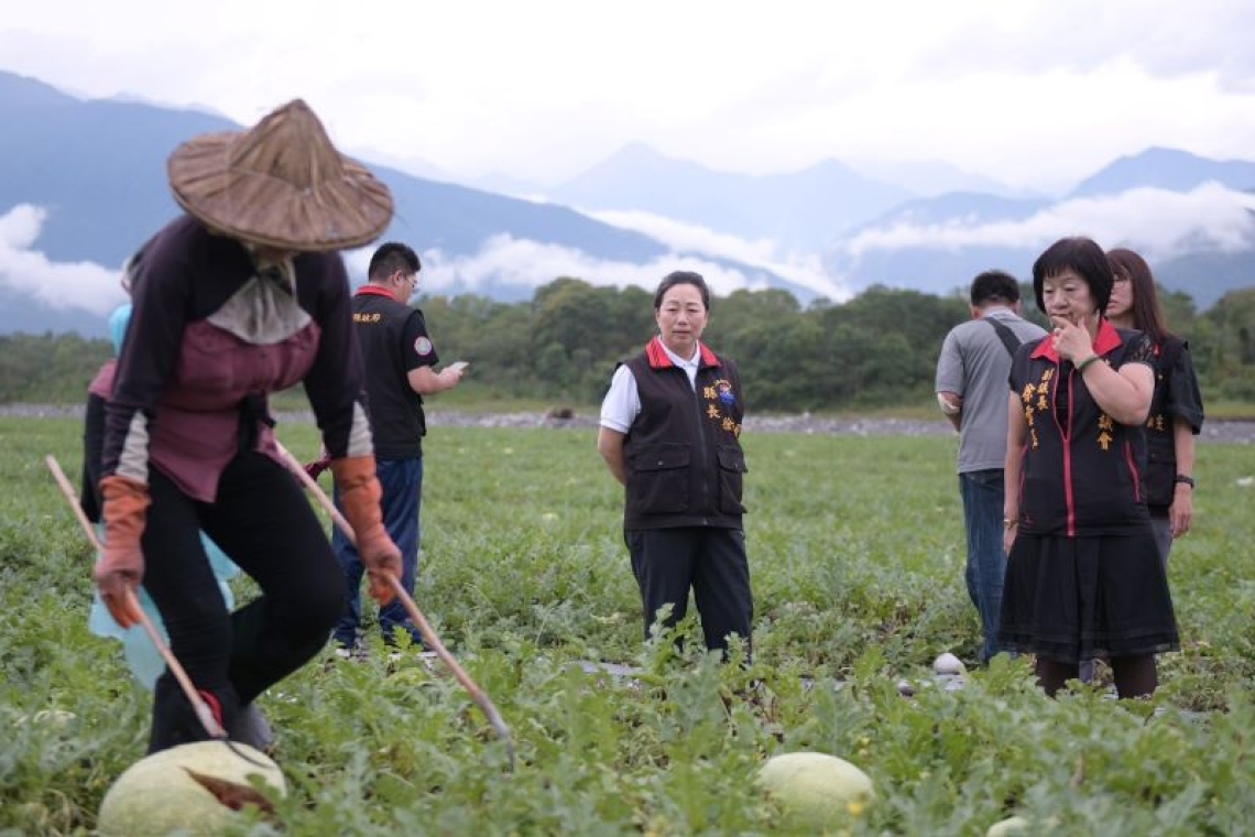 西瓜裂果╱壽豐及鳳林天然災害