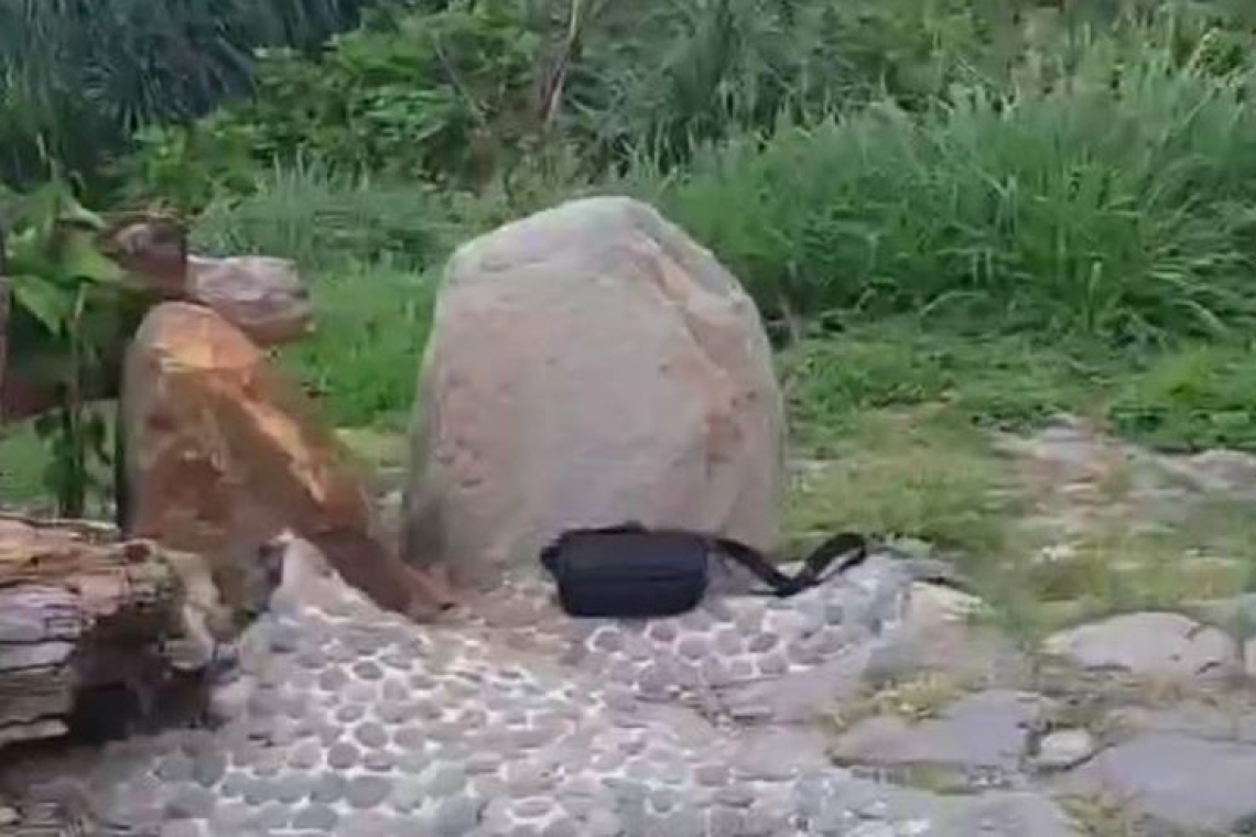 遊客遺失背包╱大武警迅速尋回