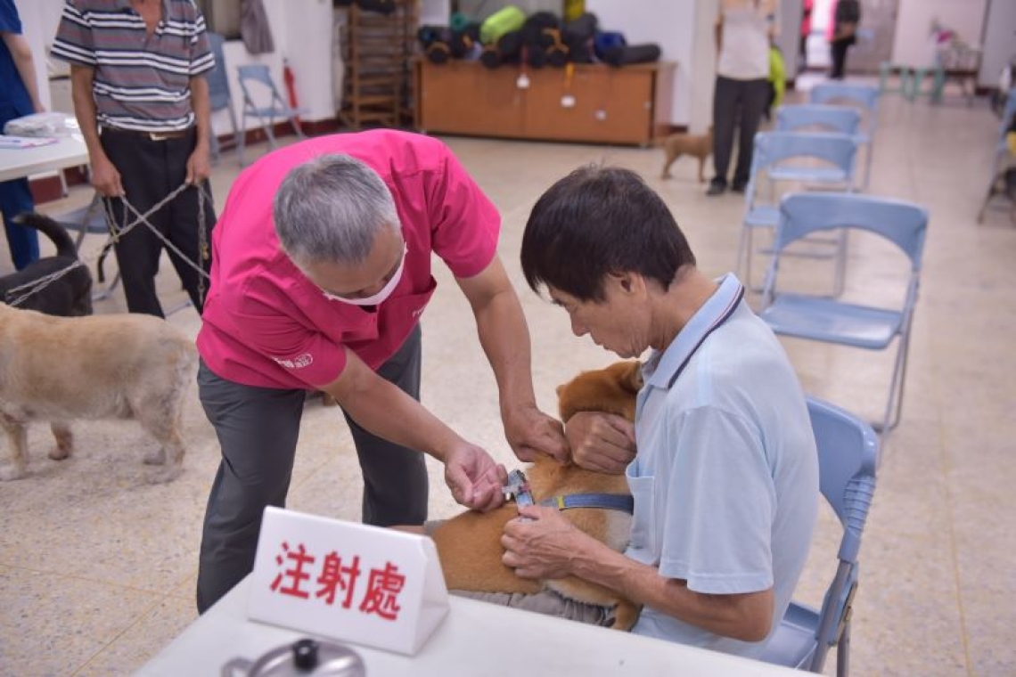  花蓮市狂犬病疫苗植寵物晶片8/8起開跑／可就近至17處注射