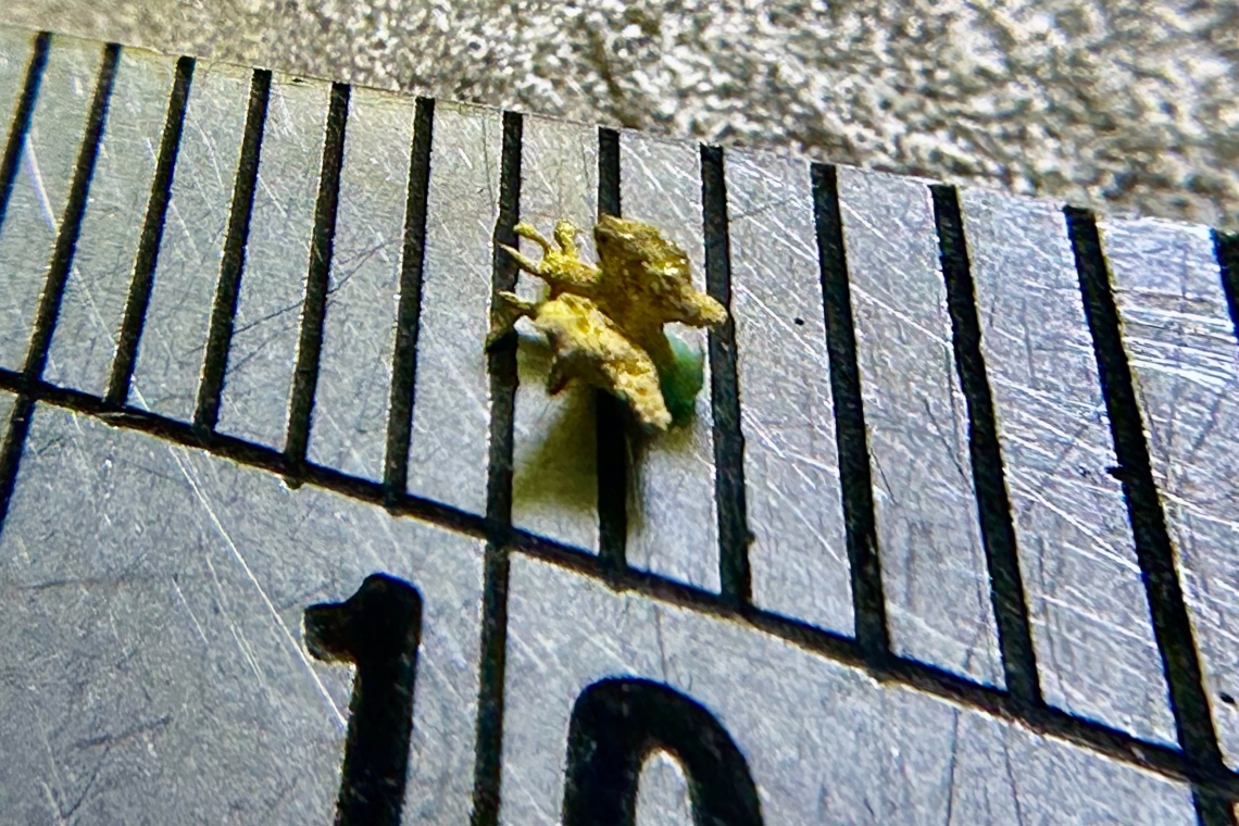 世界最小雕刻黃金蝴蝶