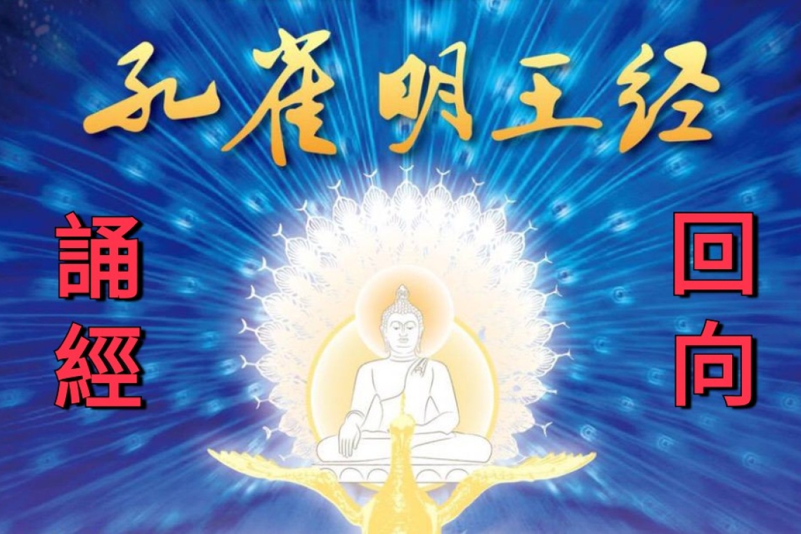 孔雀明王法！中國佛教唐密 共修、誦經、教學、回向