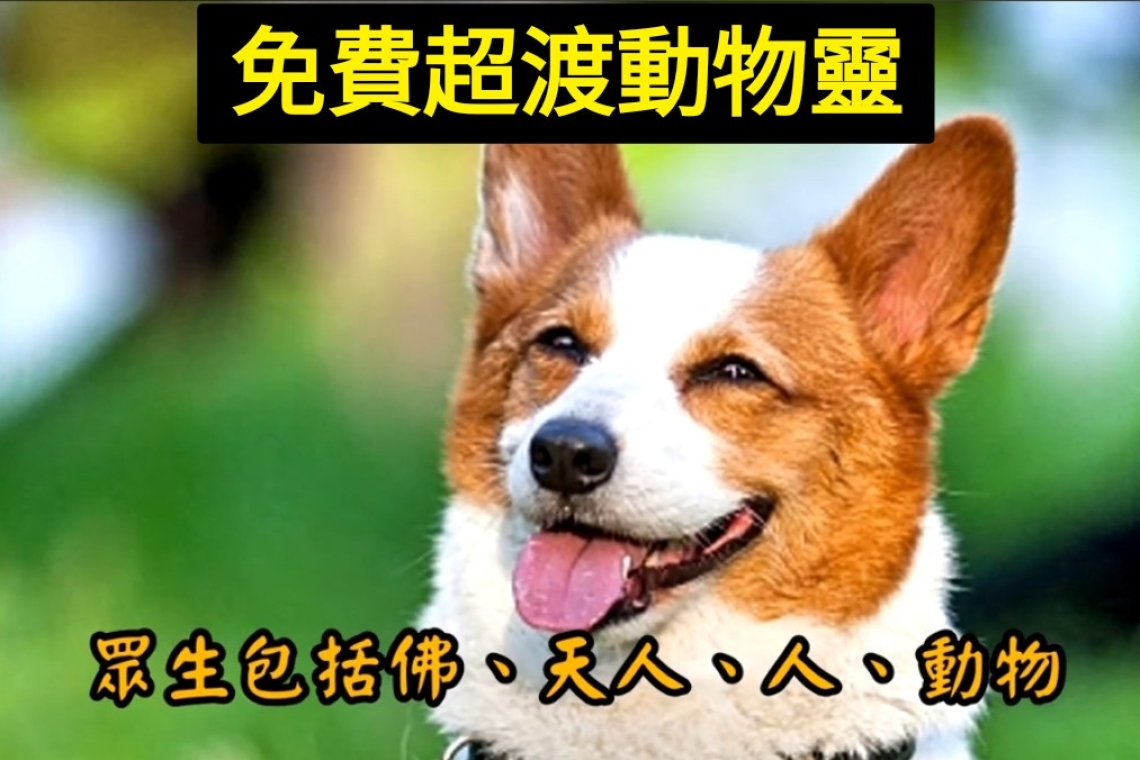 《免費寵物靈超渡》2025/10/23～27日 圓山花博爭艷館