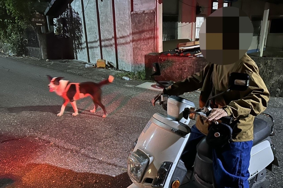 夜間巡簽遇迷途犬∣警員運用社區群組成功聯繫飼主