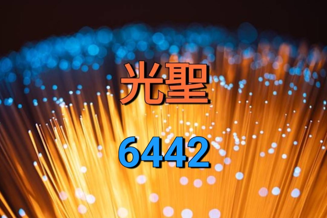 光聖總座：1375持續上漲，近2年導入AI強化轉型 法人估全年營收獲利拚新高