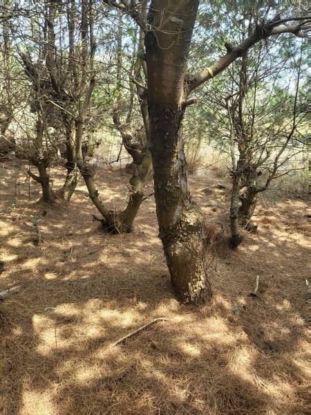 1731132934318