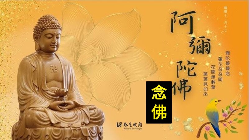 1741085534896