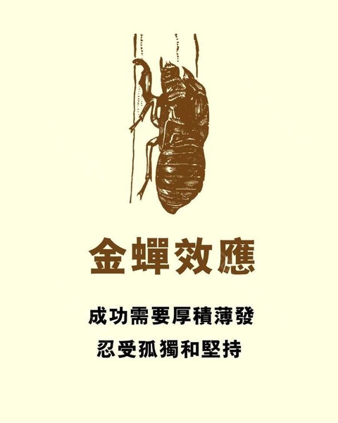 FB IMG 1747491504271
