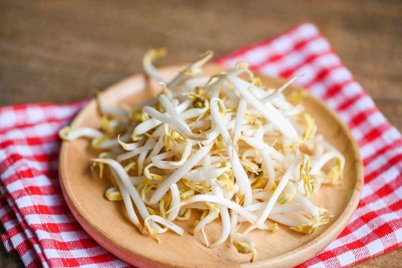 bean sprout main