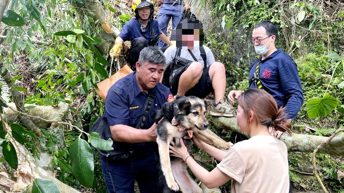 勇警.jpeg