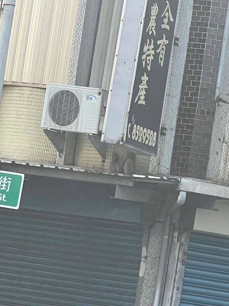 S__24338443.jpg