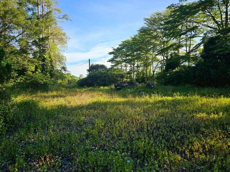 LINE_ALBUM_有美崙建地_251206_2.jpg