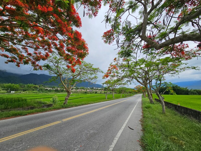 LINE_ALBUM_青山綠水_251221_1.jpg